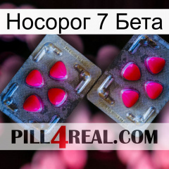 Носорог 7 Бета 15